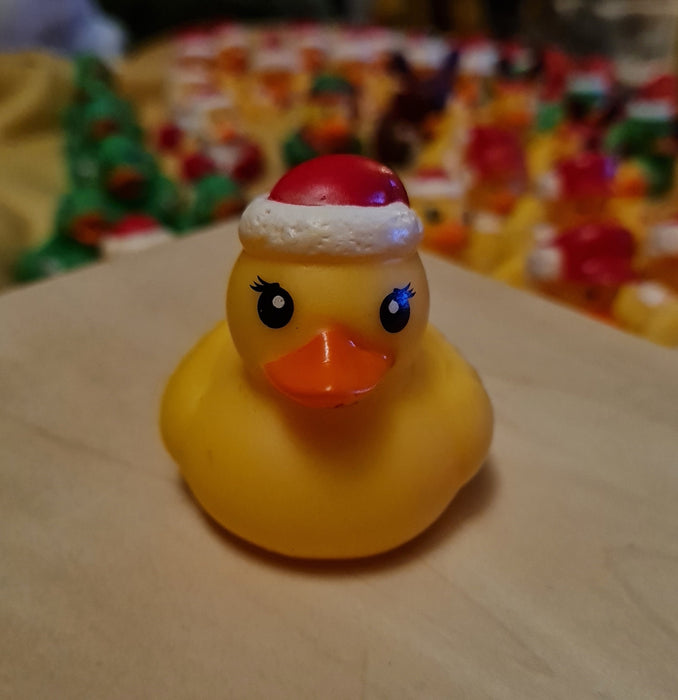Mini Christmas Character Rubber Ducks