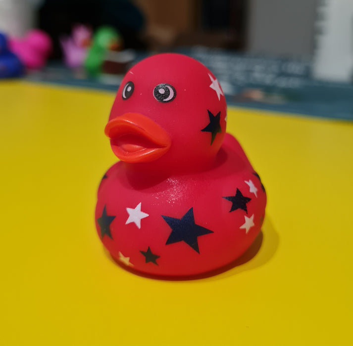 Mini Rubber Ducks (various characters)
