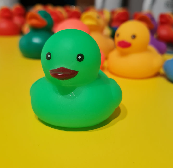 Single colour Mini Rubber Ducks.