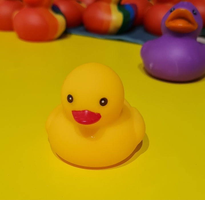 Mini Rubber Ducks various colours