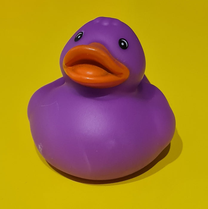 Single colour Mini Rubber Ducks.