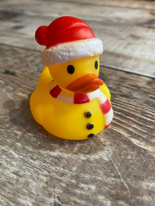 Christmas Character Rubber Ducks