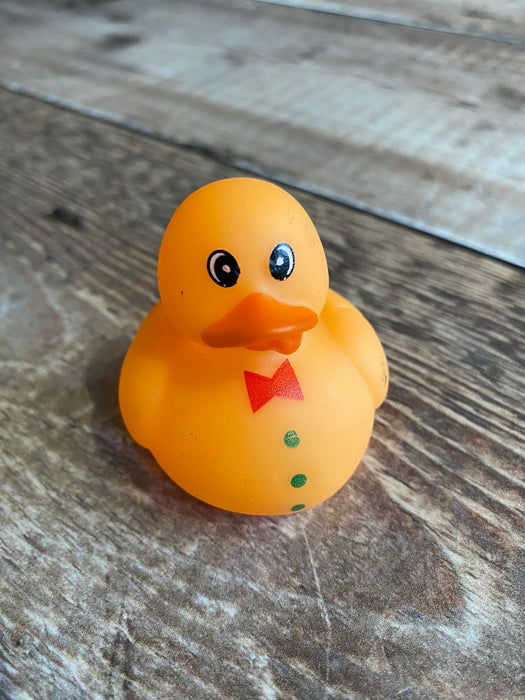 Mini Rubber Ducks (various characters)