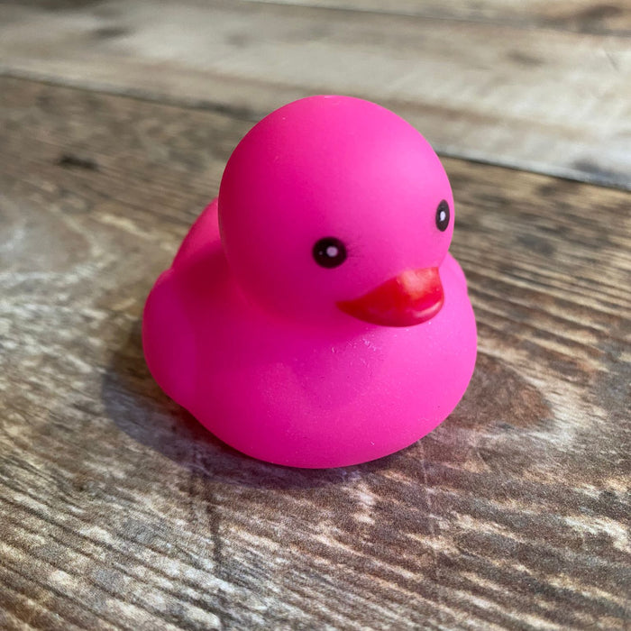 Single colour Mini Rubber Ducks.