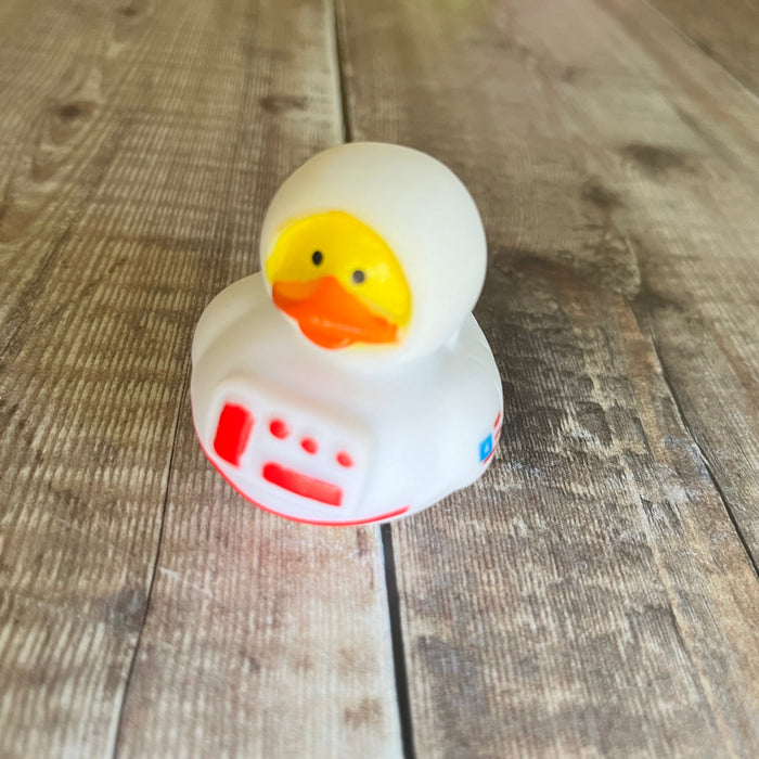 Mini Rubber Ducks (various characters)