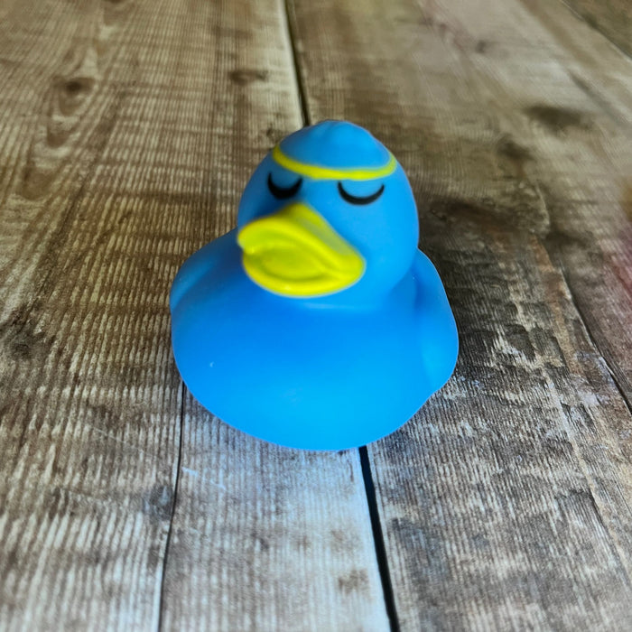 Mini Rubber Ducks (various characters)