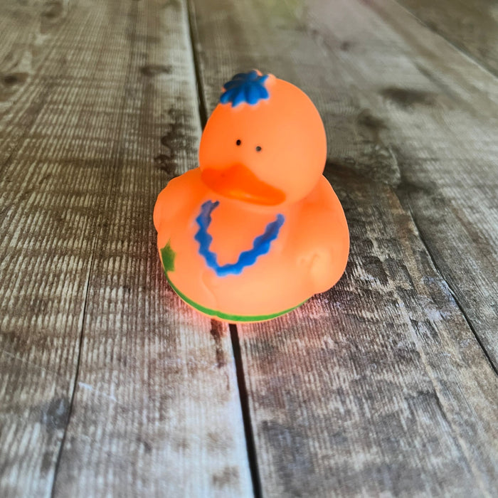 Mini Rubber Ducks (various characters)