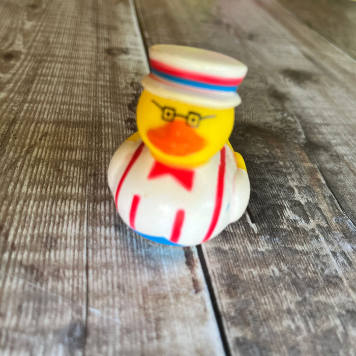 Mini Rubber Ducks (various characters)