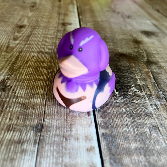 Mini Rubber Ducks (various characters)