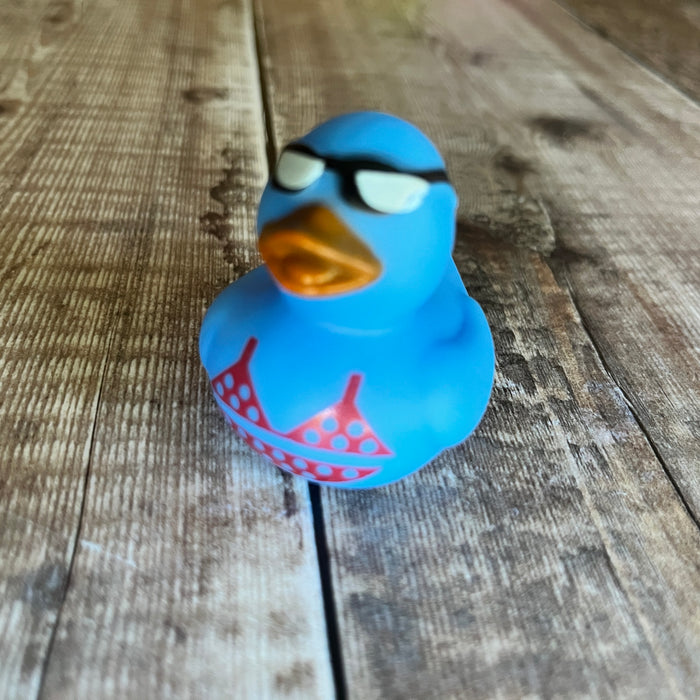 Mini Rubber Ducks (various characters)