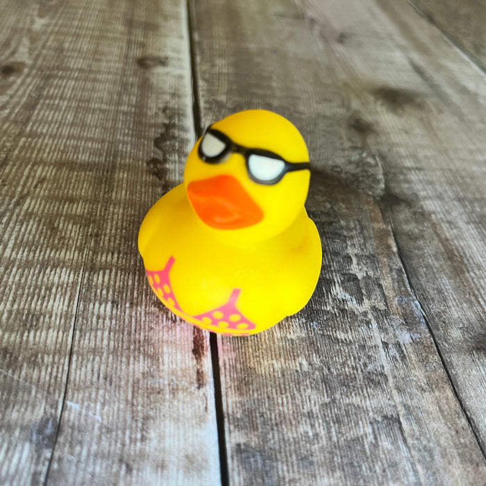 Mini Rubber Ducks (various characters)