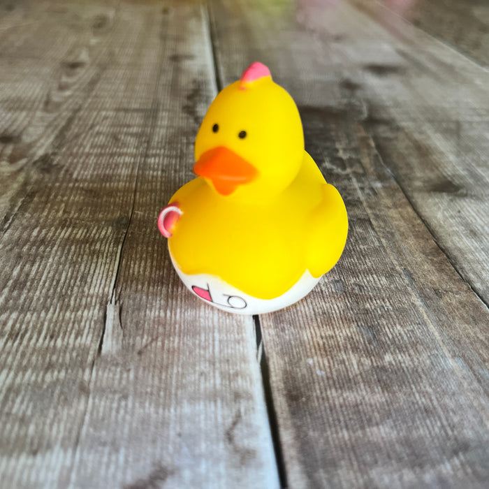 Mini Rubber Ducks (various characters)