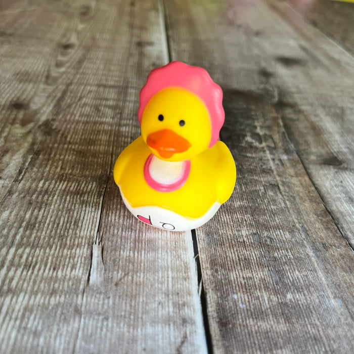 Mini Rubber Ducks (various characters)