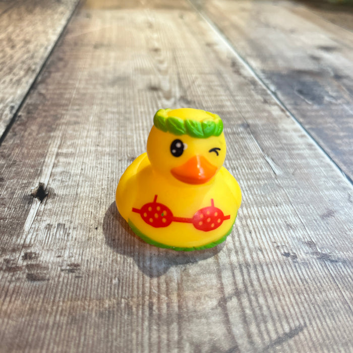 Mini Rubber Ducks (various characters)