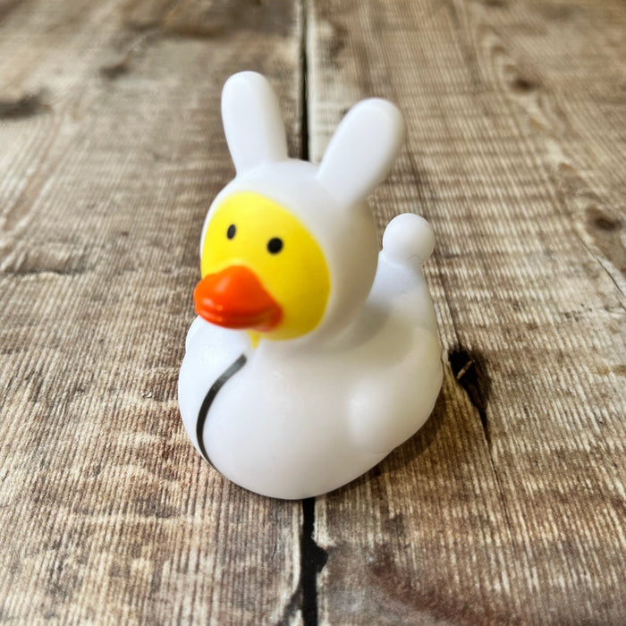 Easter Rubber Ducks