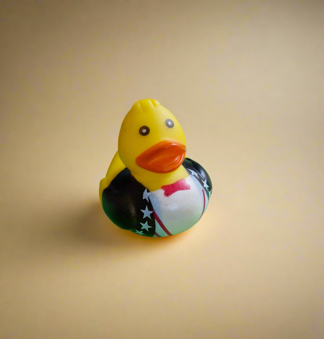 Mini Rubber Ducks (various characters)