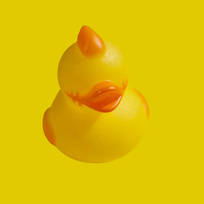 Mini Rubber Ducks (various characters)