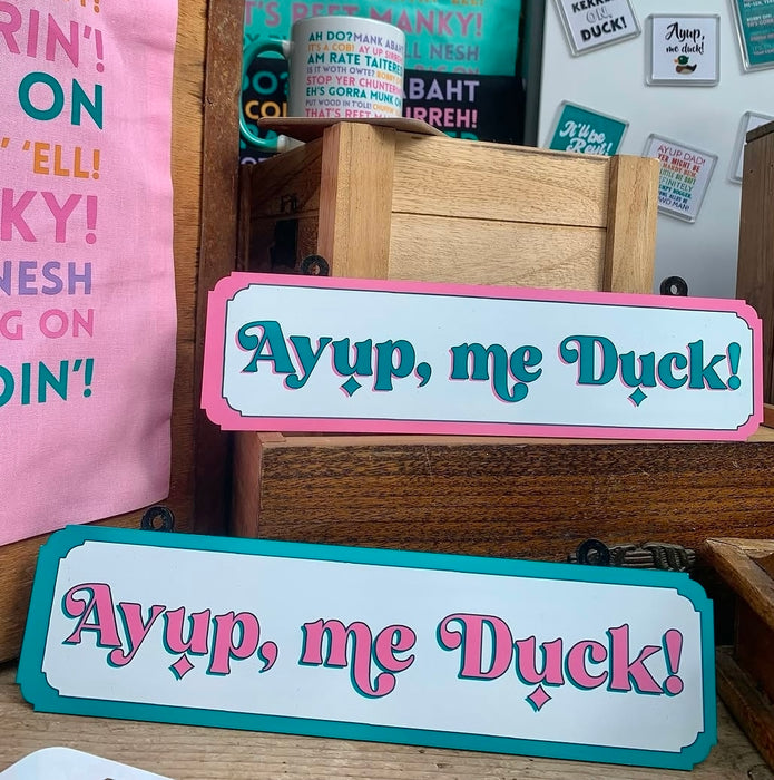 Ayup, me duck! Pink and Teal Street Signs