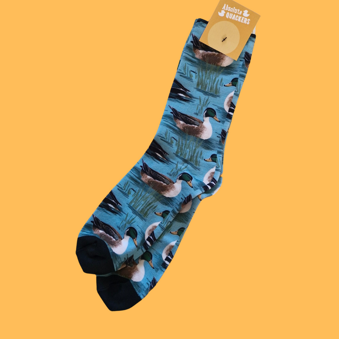 Drake duck Socks