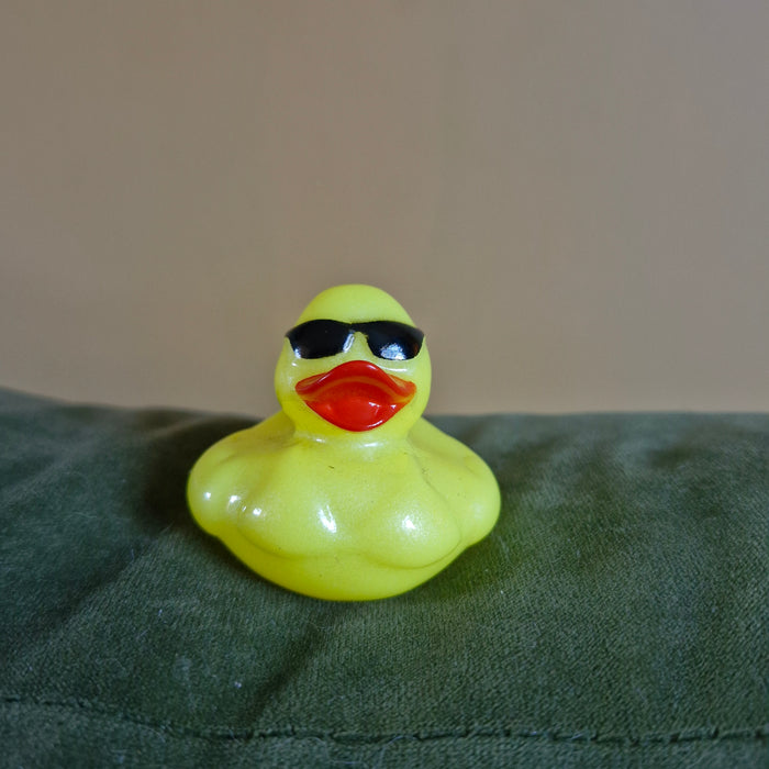 Mini Rubber Ducks (various characters)