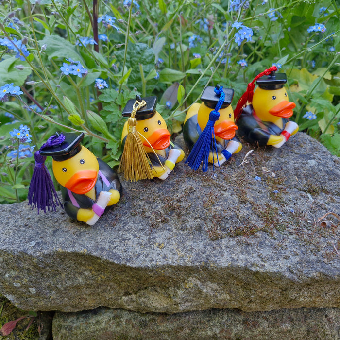 Graduation Rubber Ducks