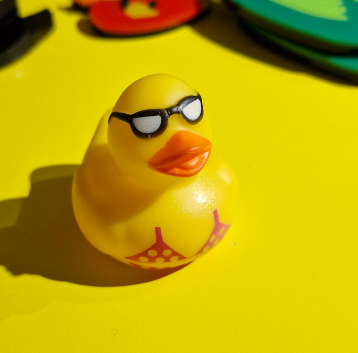 Mini Rubber Ducks (various characters)