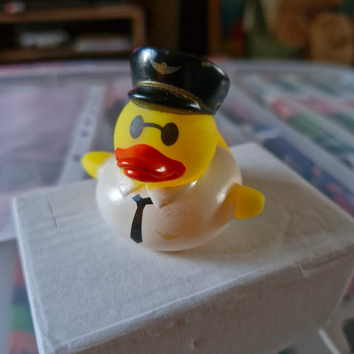 Uniform Mini Rubber Ducks