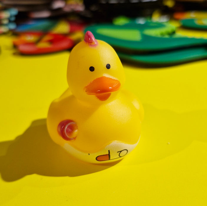Mini Rubber Ducks (various characters)