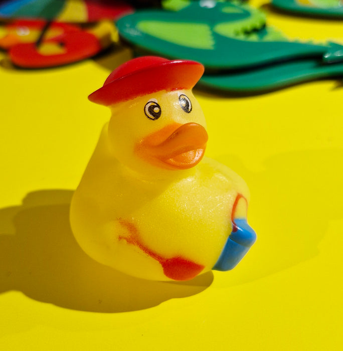 Mini Rubber Ducks (various characters)