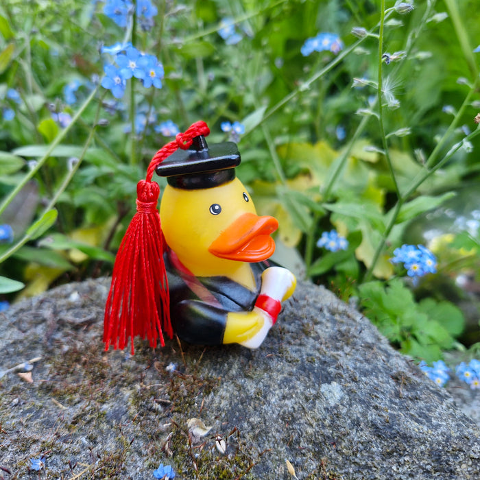 Graduation Rubber Ducks