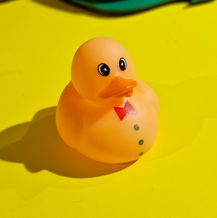 Mini Rubber Ducks (various characters)