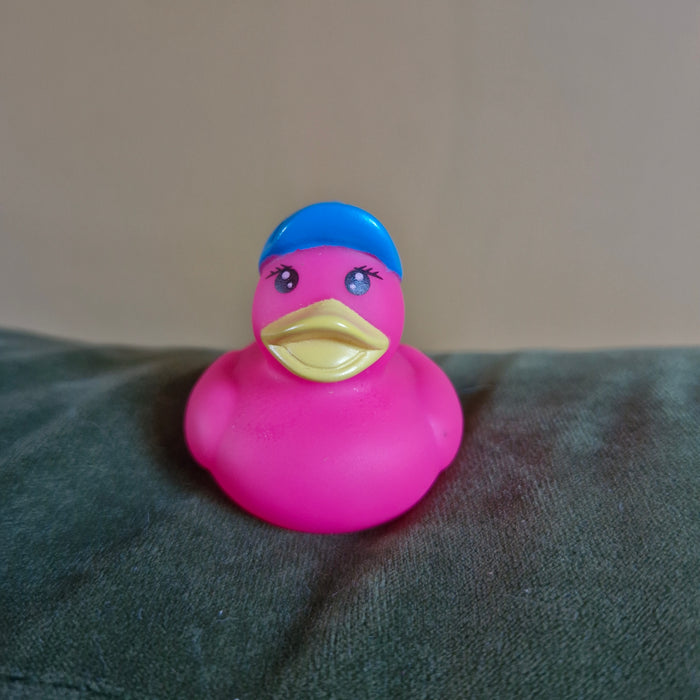 Mini Rubber Ducks (various characters)