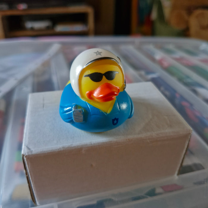 Uniform Mini Rubber Ducks