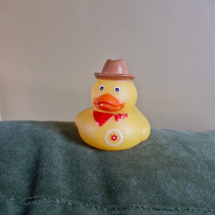Mini Rubber Ducks (various characters)