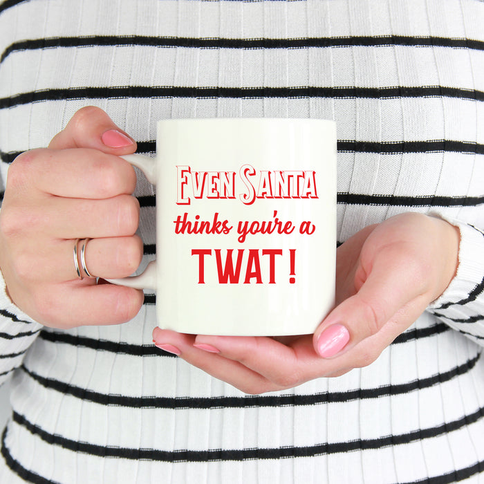 Even Santa thinks you're a...Mug