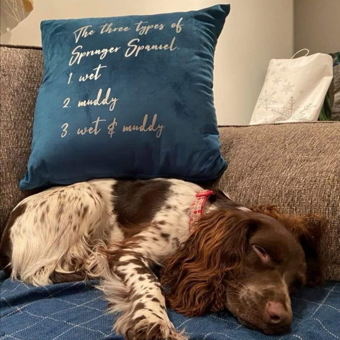 Personalised Dog Breed Velvet Cushion